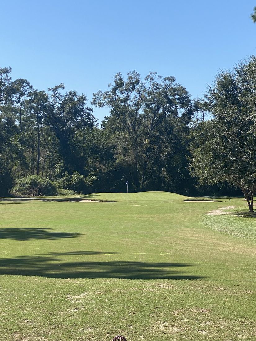 Green tucked into the trees with a bunker on each side