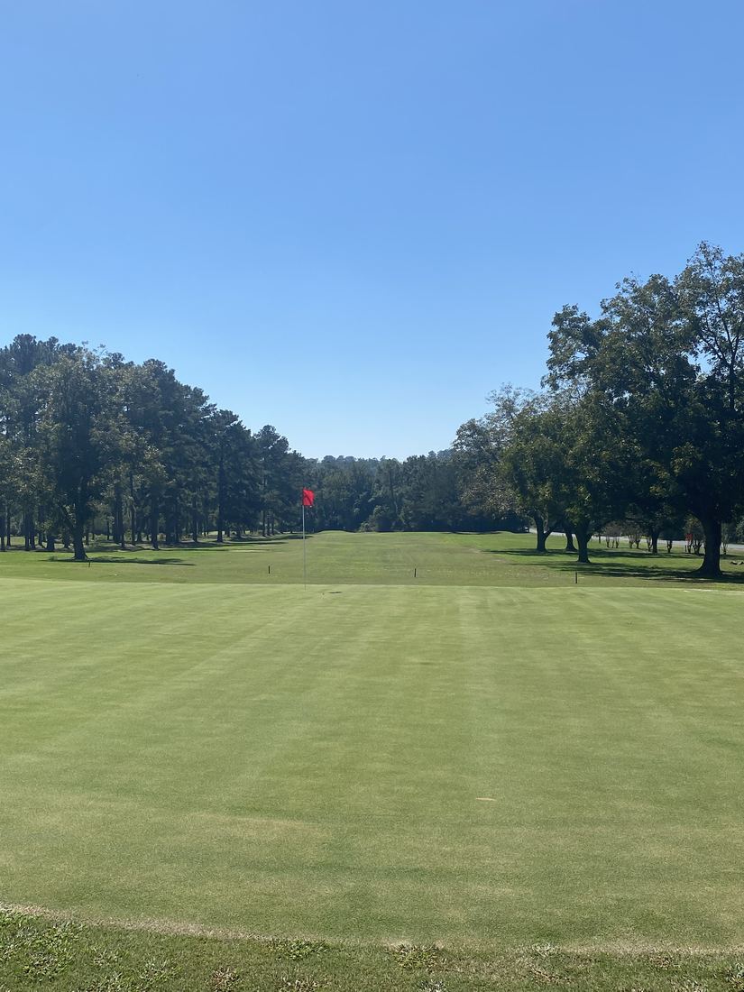 Tree-lined fairway with a red flag on the green